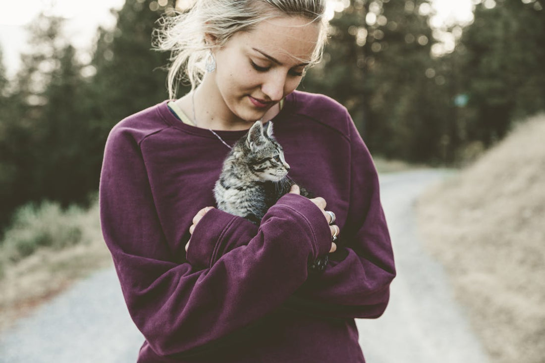 Say Goodbye to Early Morning Wake-Ups: Let a Microchip Feeder Do the Work