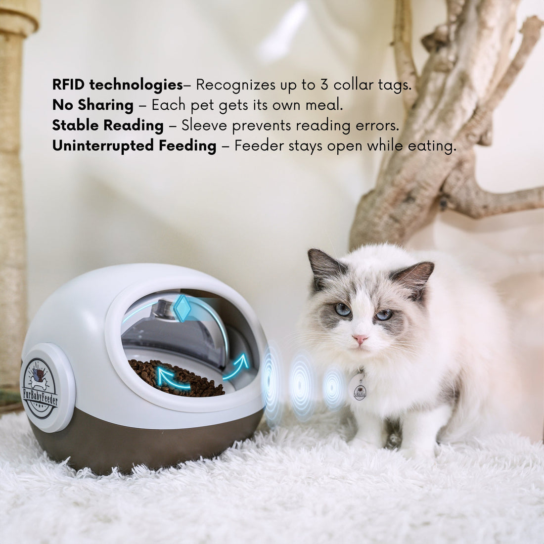 Introducing the FurBabyFeeder Sphere – Now in Coffee with Exciting New Features!