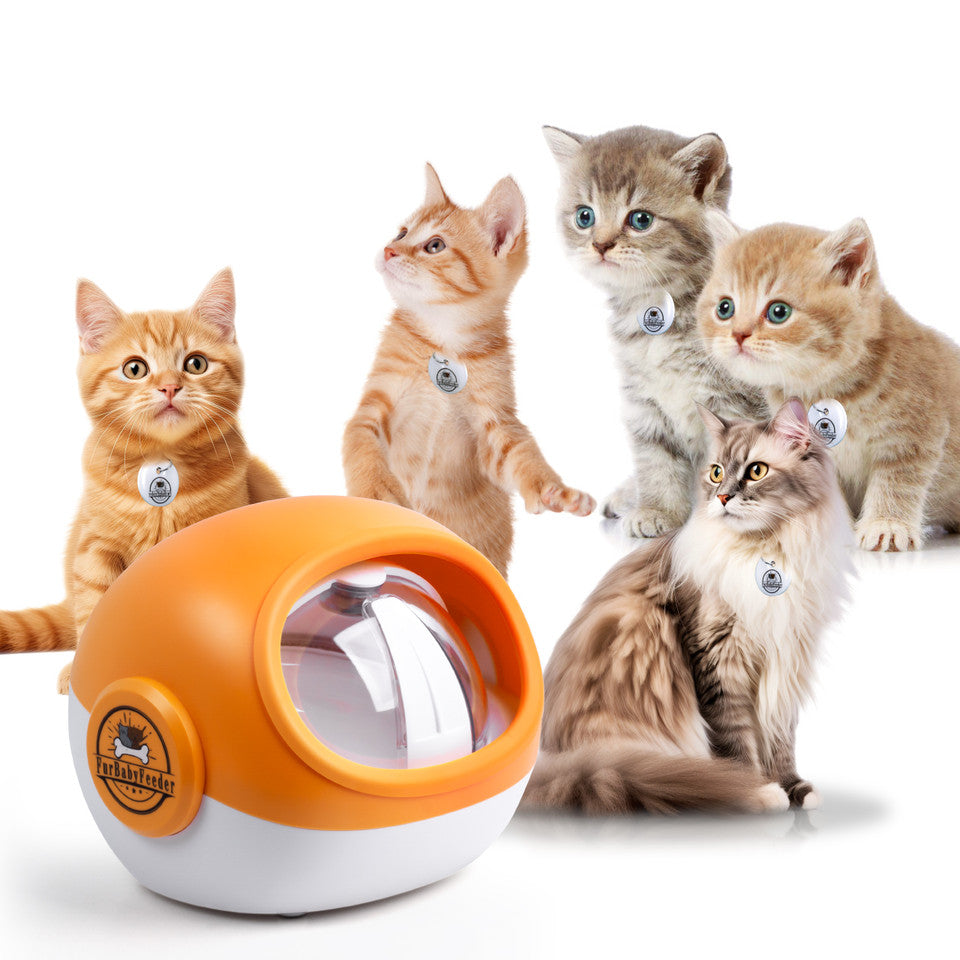 Furbabyfeeder Sphere Pet Feeder