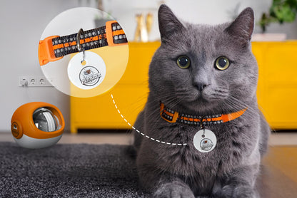FurBabyFeeder Sphere Automatic RFID Cat Feeder 3-Tag Bundle for Multi-Pet Homes
