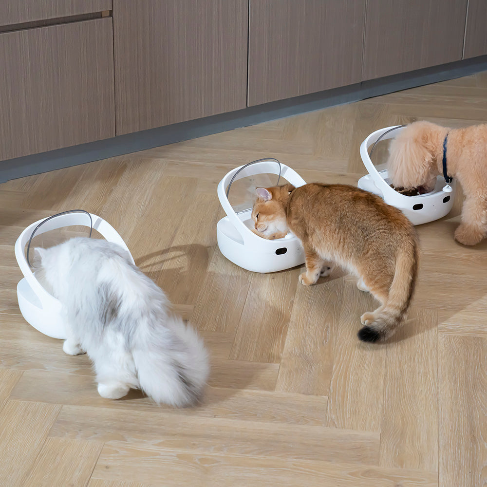 FurBabyFeeder Mini Automatic Cat Feeder - RFID Cat Food Dispenser with Collar Sensor - App Controll - Bluetooth - Ice Pack - Suitable for Both Wet and Dry Food - Multi-Pet