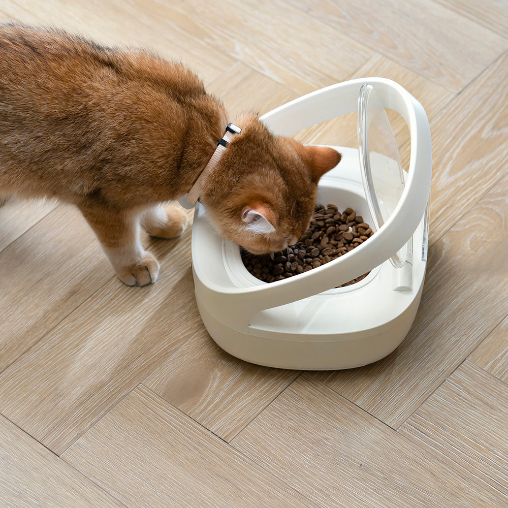 FurBabyFeeder Mini Automatic Cat Feeder - RFID Cat Food Dispenser with Collar Sensor - App Controll - Bluetooth - Ice Pack - Suitable for Both Wet and Dry Food - Multi-Pet