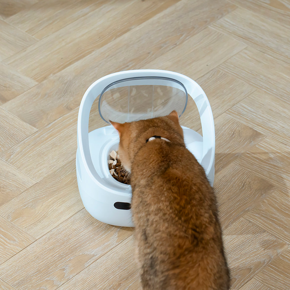 FurBabyFeeder Mini Automatic Cat Feeder - RFID Cat Food Dispenser with Collar Sensor - App Controll - Bluetooth - Ice Pack - Suitable for Both Wet and Dry Food - Multi-Pet