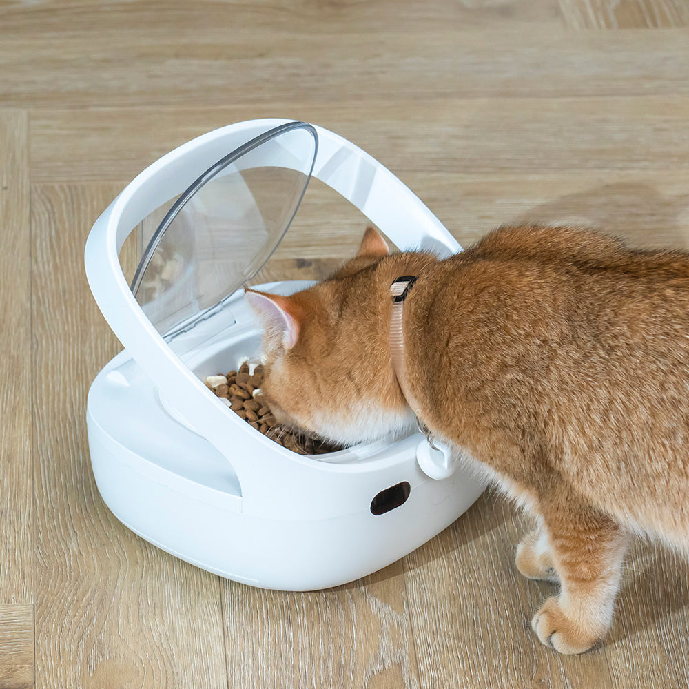 FurBabyFeeder Mini Automatic Cat Feeder - RFID Cat Food Dispenser with Collar Sensor - App Controll - Bluetooth - Ice Pack - Suitable for Both Wet and Dry Food - Multi-Pet
