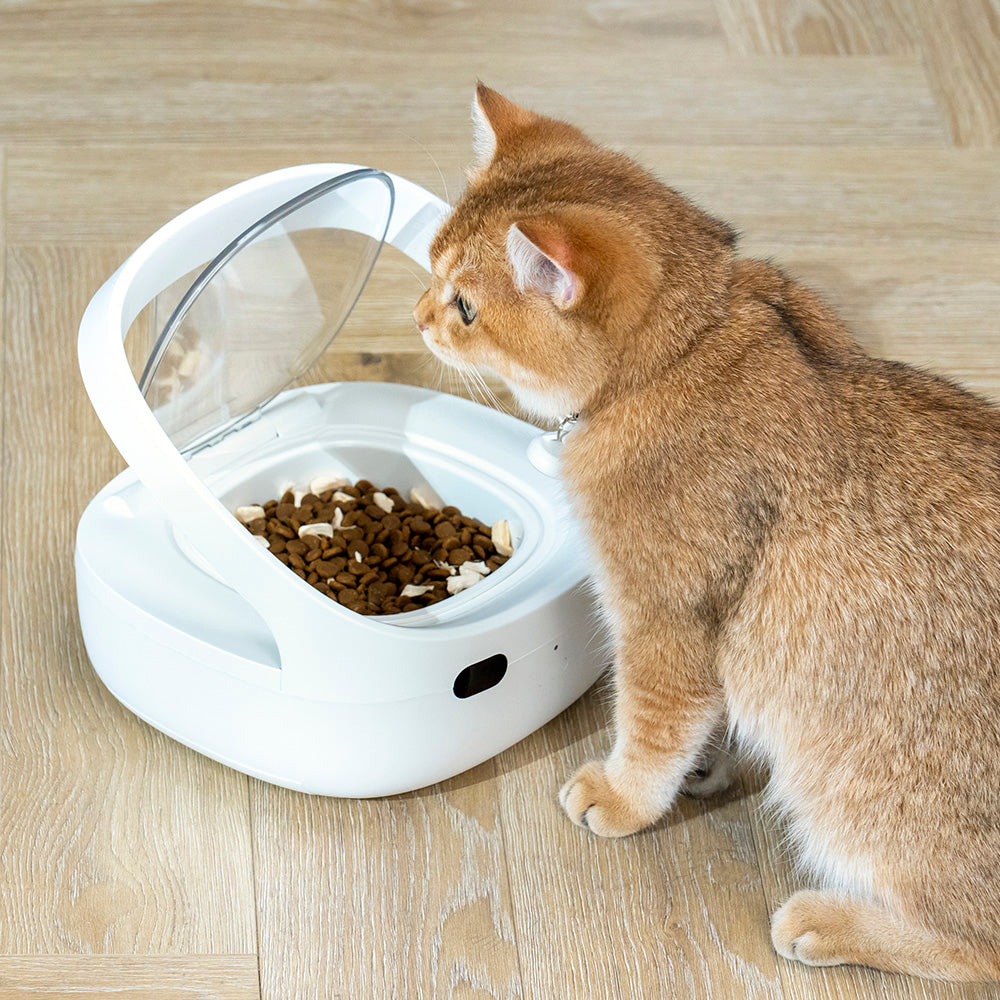 FurBabyFeeder Mini Automatic Cat Feeder - RFID Cat Food Dispenser with Collar Sensor - App Controll - Bluetooth - Ice Pack - Suitable for Both Wet and Dry Food - Multi-Pet